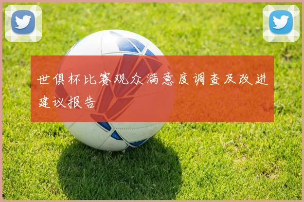 世俱杯比赛观众满意度调查及改进建议报告