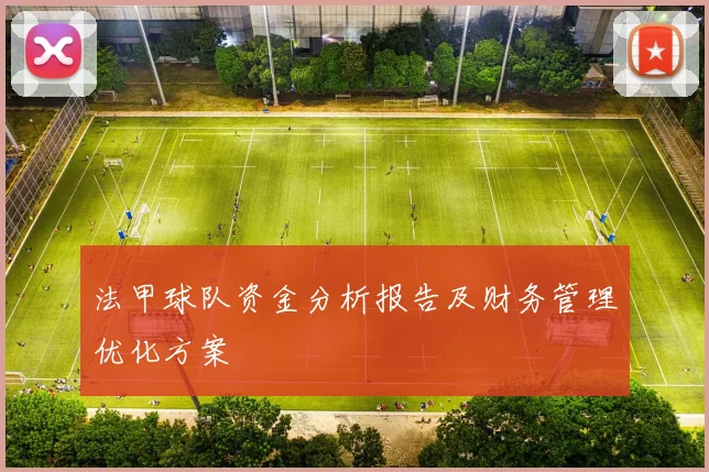法甲球队资金分析报告及财务管理优化方案