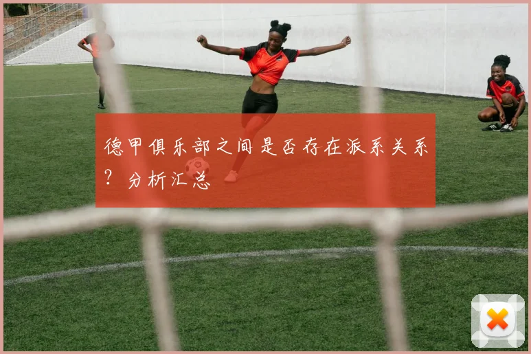 德甲俱乐部之间是否存在派系关系？分析汇总