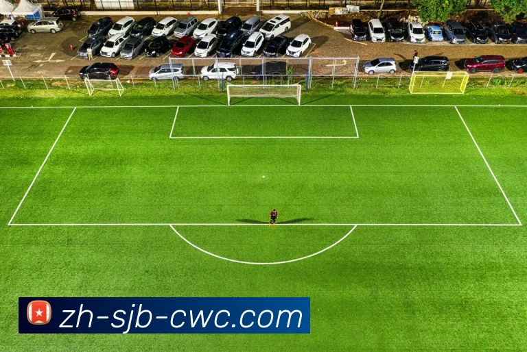 世界杯买球平台生态图