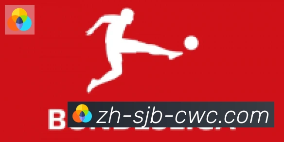世界杯买球合作伙伴